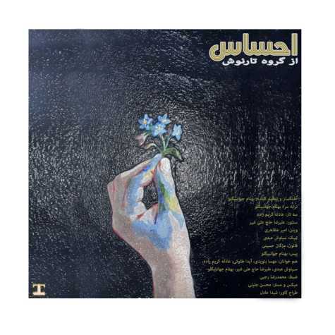 دانلود آهنگ گروه تارنوش احساس دانلود آهنگ گروه تارنوش احساس