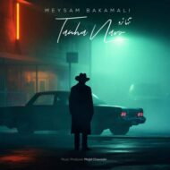 دانلود آهنگ میثم باکمالی تنها نرو