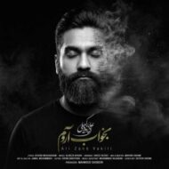 آهنگ علی زندوکیلی بخواب آروم آهنگ علی زندوکیلی بخواب آروم