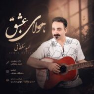 دانلود آهنگ حمید سلطانی هوای عشق