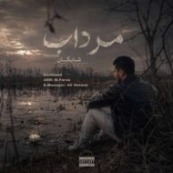 دانلود آهنگ شایگان مرداب دانلود آهنگ شایگان مرداب